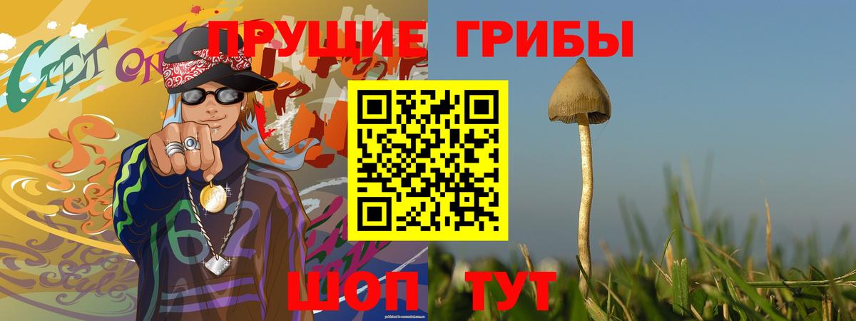 Псилоцибиновые грибы мухоморы Краснокаменск
