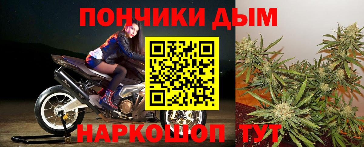 Бошки марихуана VHQ Краснокаменск